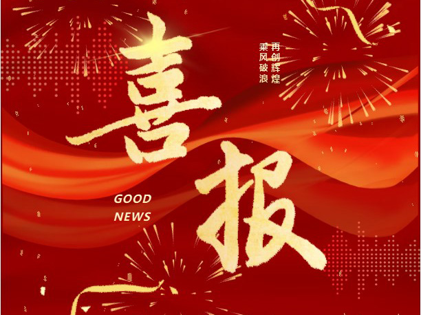 喜报｜跨海交付！7790必发集团(中国)电气华友钴业匈牙利项目圆满交付