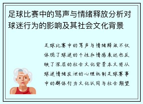 足球比赛中的骂声与情绪释放分析对球迷行为的影响及其社会文化背景