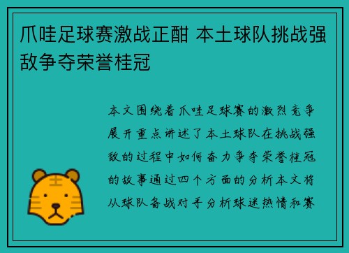 爪哇足球赛激战正酣 本土球队挑战强敌争夺荣誉桂冠