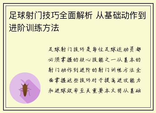 足球射门技巧全面解析 从基础动作到进阶训练方法