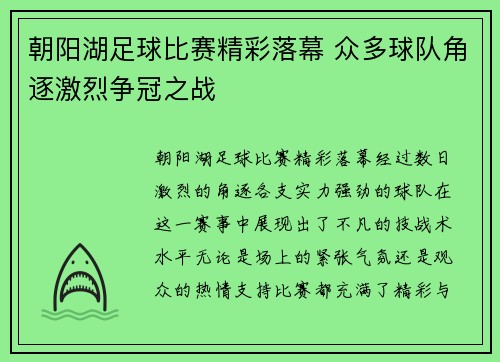 朝阳湖足球比赛精彩落幕 众多球队角逐激烈争冠之战