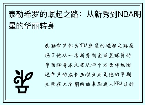 泰勒希罗的崛起之路：从新秀到NBA明星的华丽转身